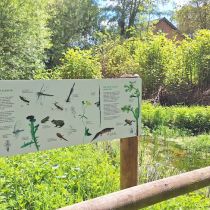 Pond panel in situ .jpeg