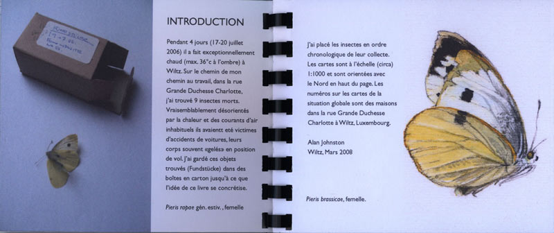 Artists Books